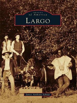 Largo - ebook